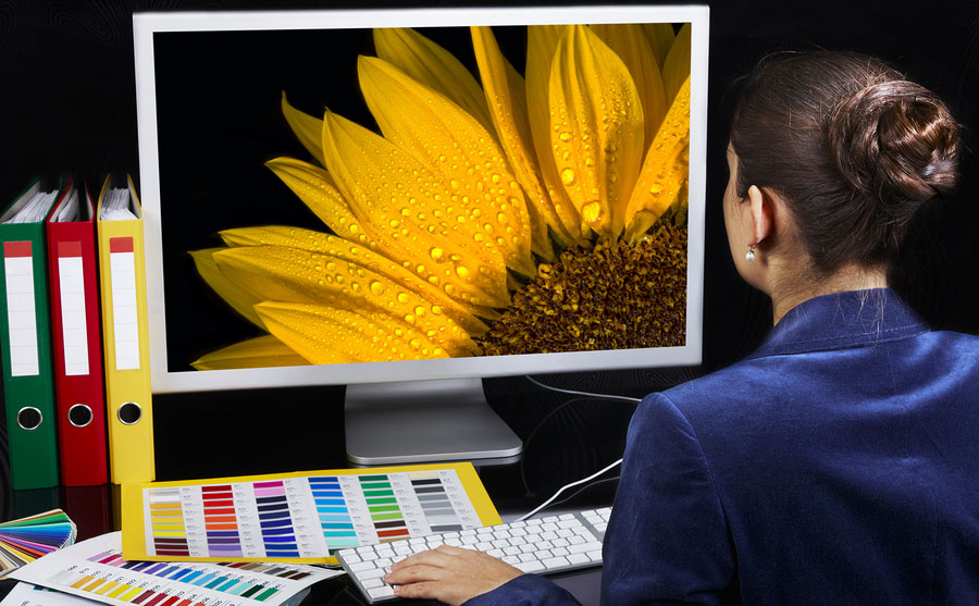 Designer looking at yellow sunflower on a computer screen in an office symbolizing desktop publishing services.